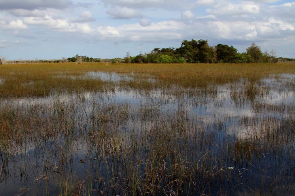 Everglades