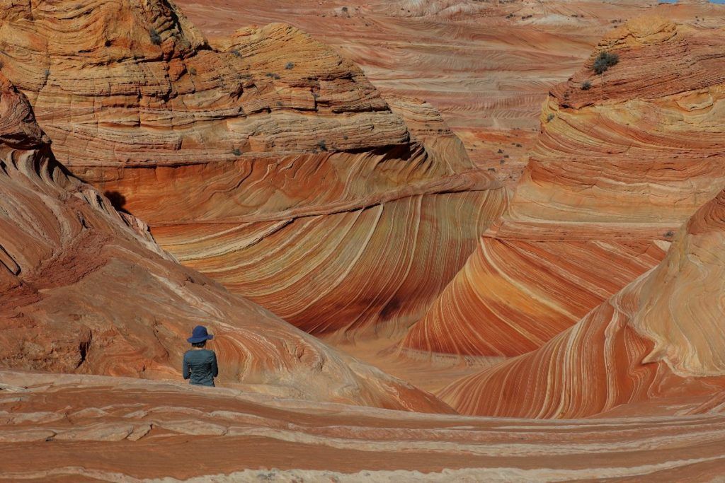 The Wave im Vermilion Cliffs National Monument