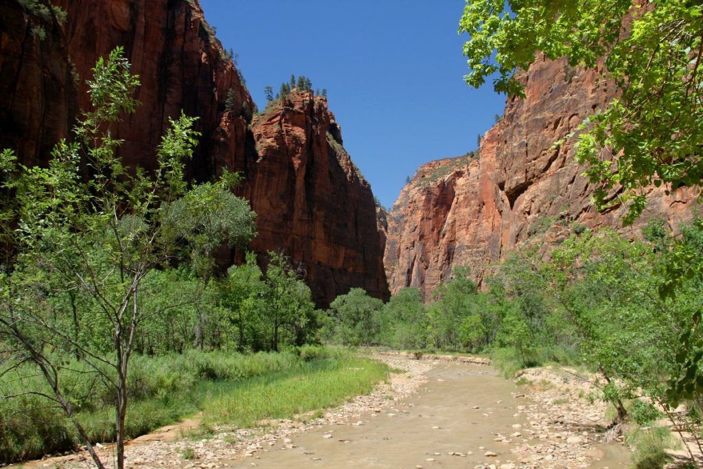 Zion National Park