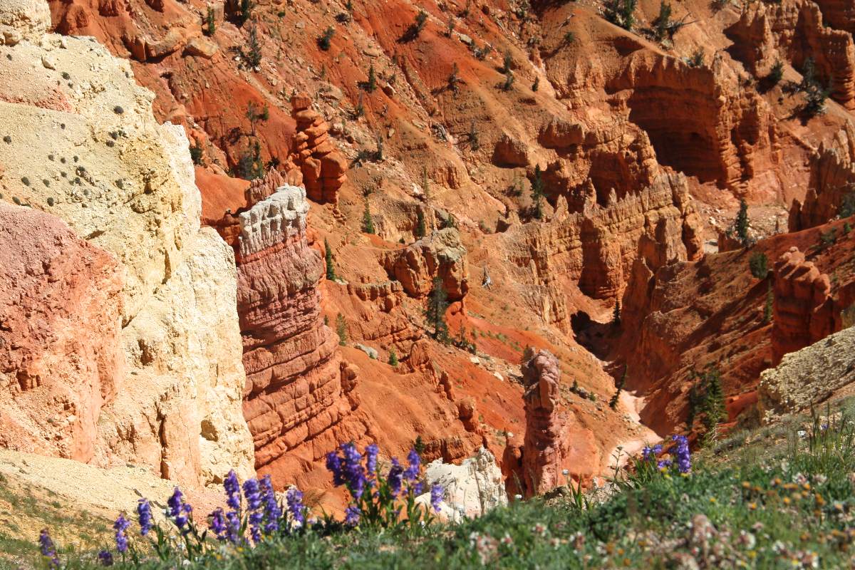 Cedar Breaks National Monument